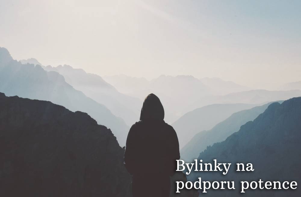 bylinky na potenci