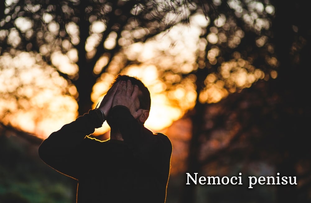 nemoci penisu