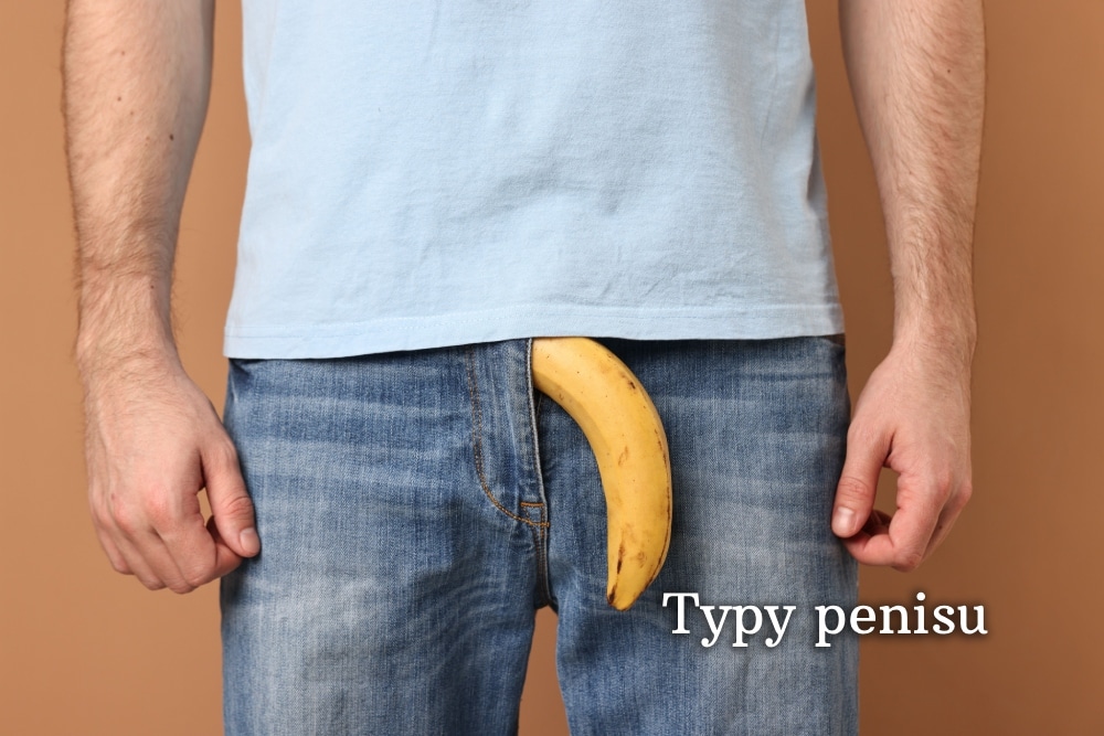Typy penisu